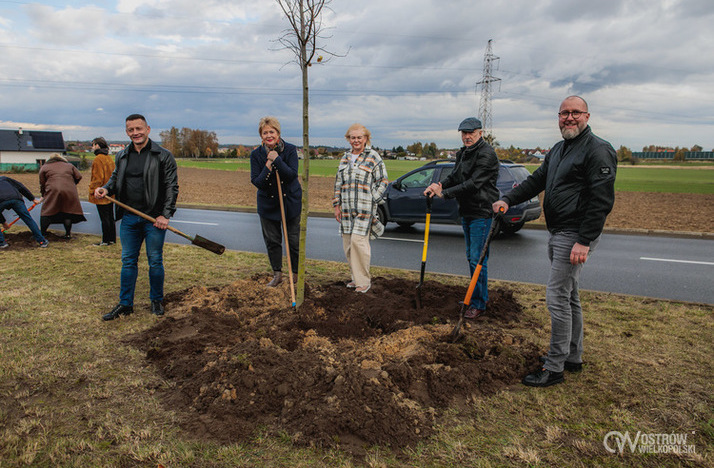 Ilustracja do artykułu: Zielony akcent na 35-lecie samorządu