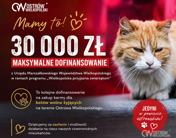 Ilustracja do artykułu: Maksymalne dofinansowanie dla Ostrowa Wielkopolskiego!