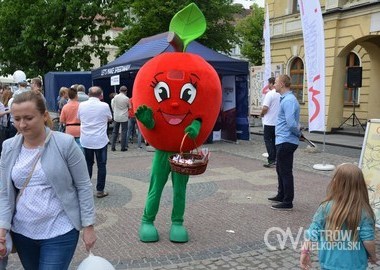 Dzien Dziecka na Rynku, 29.05.2016 r (13)