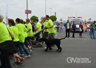 Polska biega, 21.05.2016 r (14)