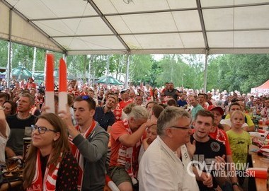 Polska - Irlandia Polnocna 1-0, 12.06.2016 r (11)