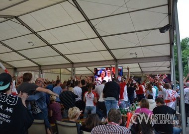 Polska - Irlandia Polnocna 1-0, 12.06.2016 r (21)