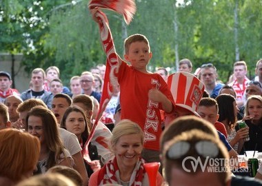 Polska - Irlandia Polnocna 1-0, 12.06.2016 r (29)