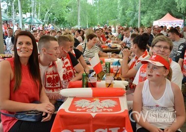 Polska - Irlandia Polnocna 1-0, 12.06.2016 r (41)