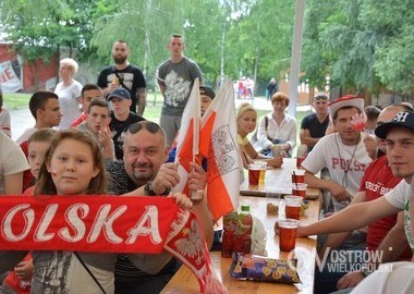 Polska - Irlandia Polnocna 1-0, 12.06.2016 r (49)