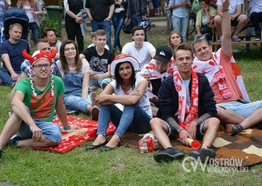 Polska - Irlandia Polnocna 1-0, 12.06.2016 r (6)