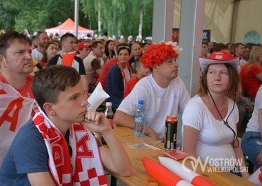 Polska - Irlandia Polnocna 1-0, 12.06.2016 r (10)