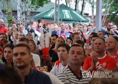 Polska - Irlandia Polnocna 1-0, 12.06.2016 r (14)