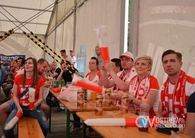 Polska - Irlandia Polnocna 1-0, 12.06.2016 r (15)