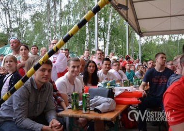 Polska - Irlandia Polnocna 1-0, 12.06.2016 r (17)