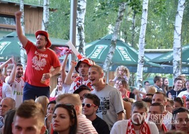 Polska - Irlandia Polnocna 1-0, 12.06.2016 r (26)