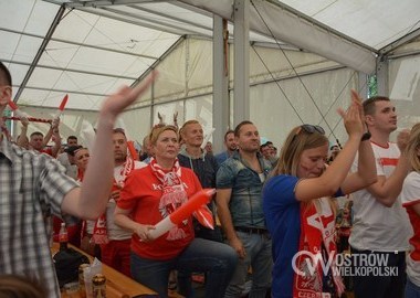 Polska - Irlandia Polnocna 1-0, 12.06.2016 r (30)