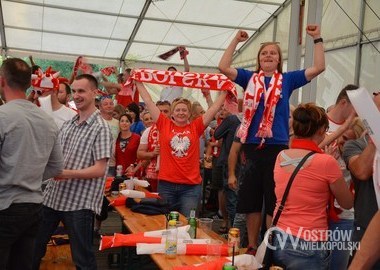 Polska - Irlandia Polnocna 1-0, 12.06.2016 r (33)