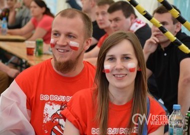 Polska - Irlandia Polnocna 1-0, 12.06.2016 r (43)