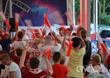 Polska - Niemcy 0 - 0, 16.06.2016 r (6)