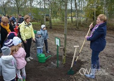 Swieto Drzewa, 23.10.2016 r. (18)