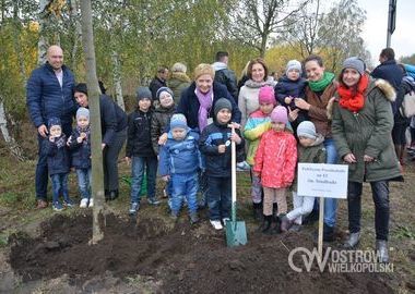 Swieto Drzewa, 23.10.2016 r. (31)