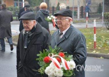 Obchody Narodowego Swieta Niepodleglosci, 11.11.2016 r (15)