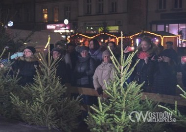 Jarmark, 12.12.2016 r (118)