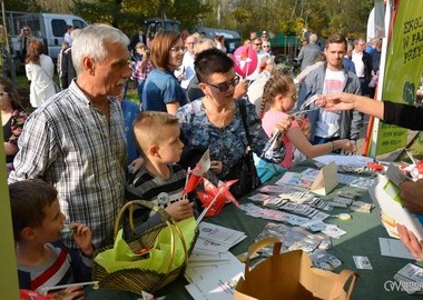 Święto Drzewa 2017 (33)