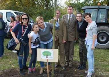 Święto Drzewa 2017 (31)