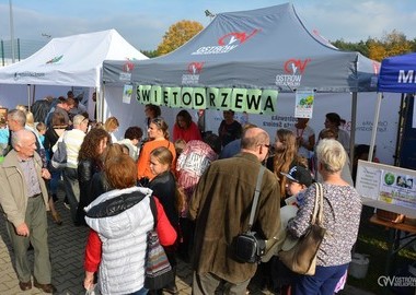 Święto Drzewa 2017 (30)