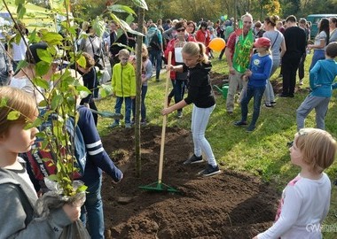 Święto Drzewa 2017 (25)