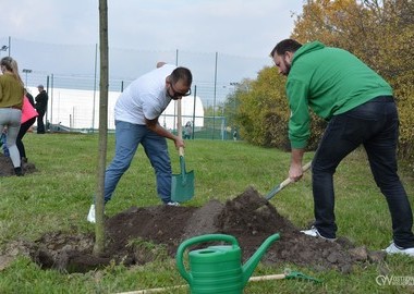 Święto Drzewa 2017 (20)