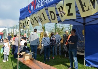 Święto Drzewa 2017 (6)