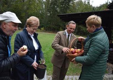 Drzewa mają duszę (34)