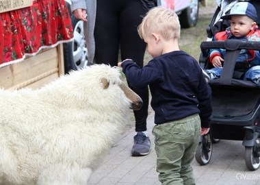 majOSTaszki, 13.05.2019 (sobota) (52)