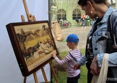 majOSTaszki, 13.05.2019 (sobota) (25)