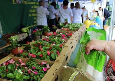 majOSTaszki, 13.05.2019 (sobota) (3)