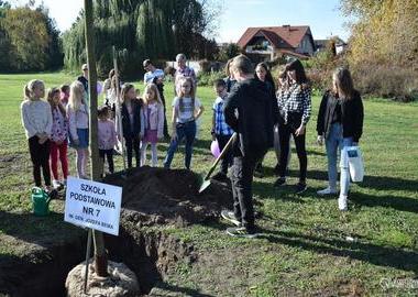 „Drzewa dla klimatu” w Parku Północnym  (47)