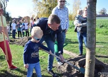 „Drzewa dla klimatu” w Parku Północnym  (41)