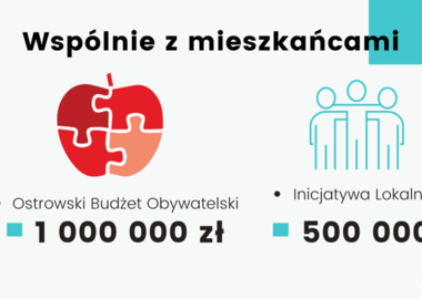 Budżet Ostrowa Wielkopolskiego. Projekt na rok 2021 (25)