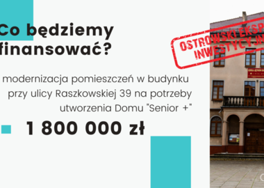Budżet Ostrowa Wielkopolskiego. Projekt na rok 2021 (24)