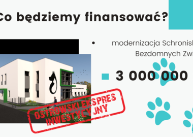 Budżet Ostrowa Wielkopolskiego. Projekt na rok 2021 (17)