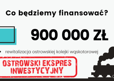 Budżet Ostrowa Wielkopolskiego. Projekt na rok 2021 (13)