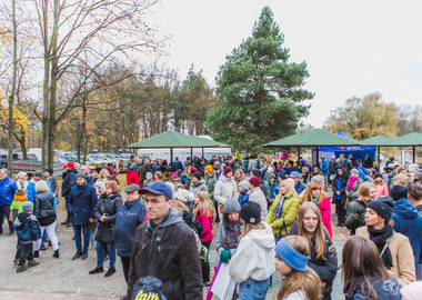 święto drzewa 2021 (16)