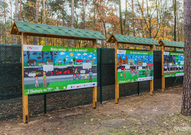 święto drzewa 2021 (3)