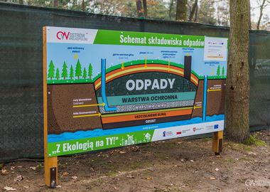 święto drzewa 2021 (2)