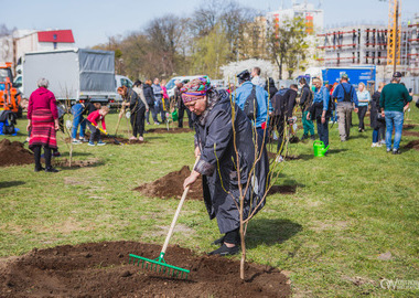 Ogród Magnoliowy = ogród przyjaźni ostrowsko - ukraińskiej (34)