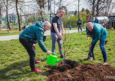 Ogród Magnoliowy = ogród przyjaźni ostrowsko - ukraińskiej (33)