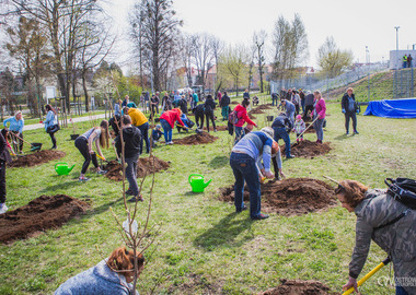 Ogród Magnoliowy = ogród przyjaźni ostrowsko - ukraińskiej (32)