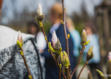 Ogród Magnoliowy = ogród przyjaźni ostrowsko - ukraińskiej (16)