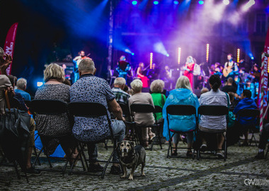 Wielki Koncert Miejski Marcin Wyrostek (49)