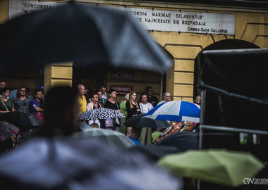 Wielki Koncert Miejski Marcin Wyrostek (47)