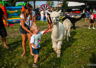 Piknik Zdrowia 2024 (99)