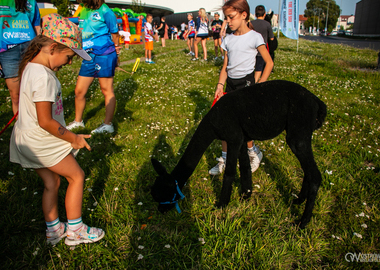 Piknik Zdrowia 2024 (21)